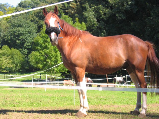 Photo de profil de lelemoune