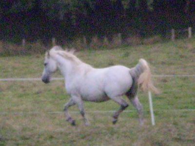 Photo de profil de liligigi