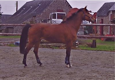 Photo de profil de lilo