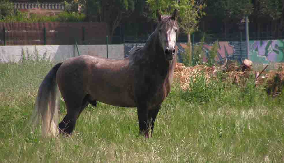 Photo de profil de llanto