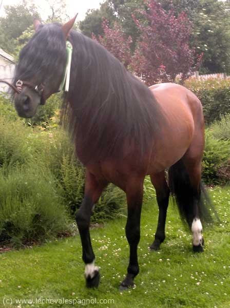 Photo de profil de lylydiiior