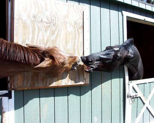 Photo de profil de marielafoledu87