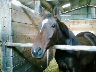 Photo de profil de marionnette