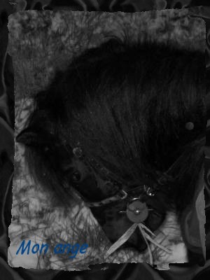 Photo de profil de melanie77