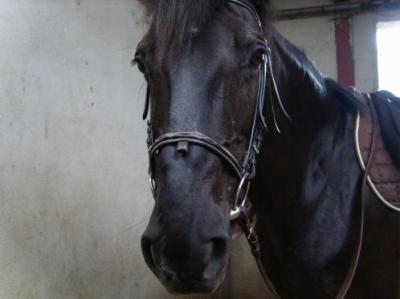 Photo de profil de melinou22