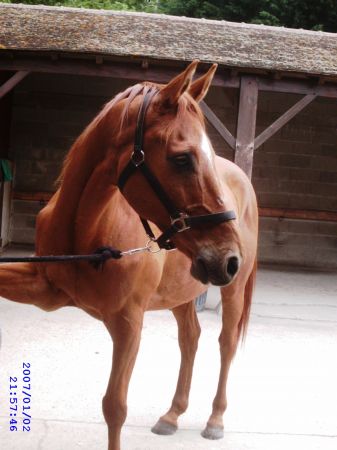 Photo de profil de merantine