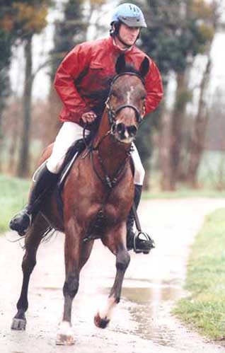 Photo de profil de michel31