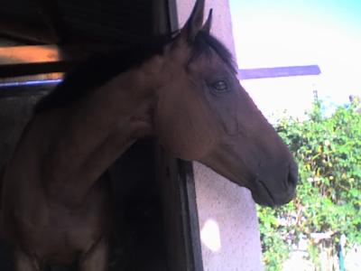 Photo de profil de mila