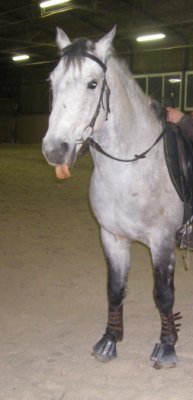 Photo de profil de nanoushoup