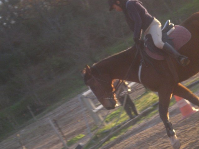 Photo de profil de nonone13