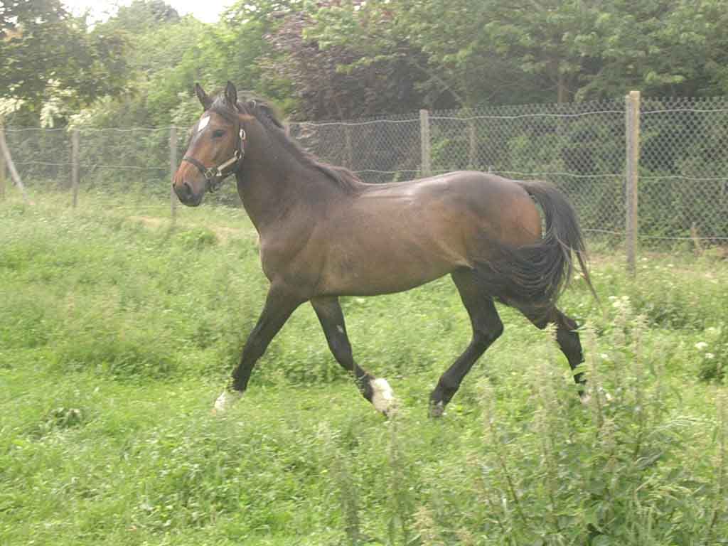 Photo de profil de pajira