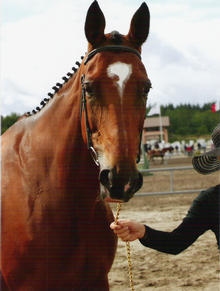 Photo de profil de peg063