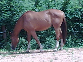 Photo de profil de tahick