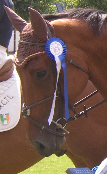 Photo de profil de xxmargauxx