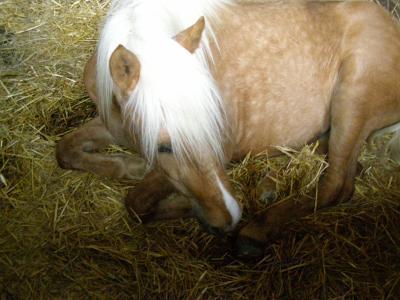 Photo de profil de xxquatiminixx