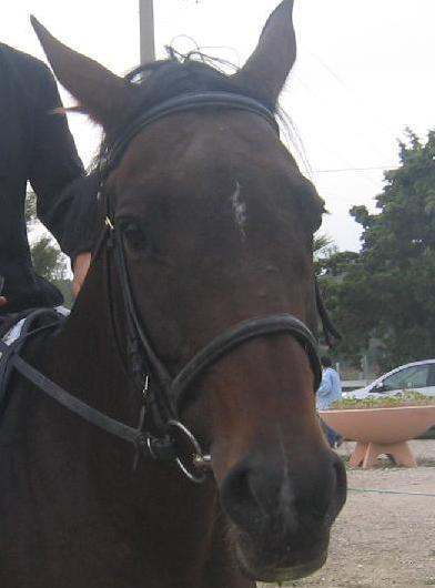 Photo de profil de zebullette