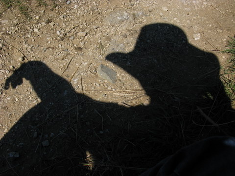 Photo de profil de zebulon83