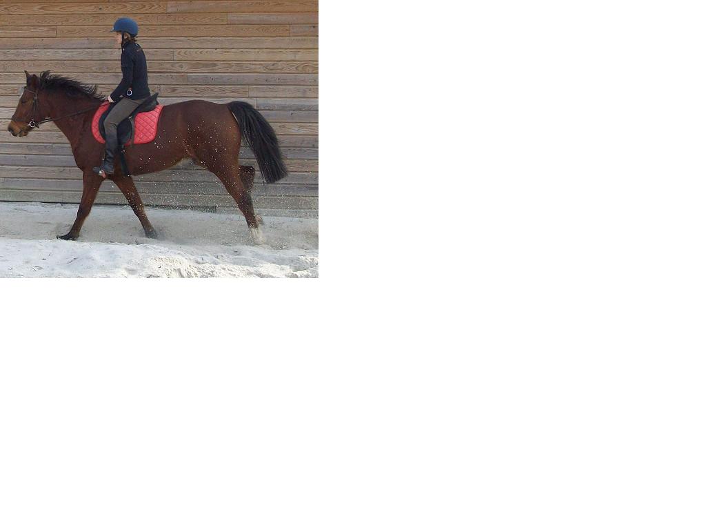 Photo de profil de annewauquier