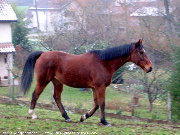Photo de profil de aurevane