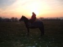 Photo de profil de blacky61