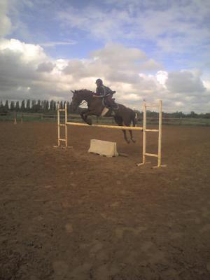 Photo de profil de boulbies