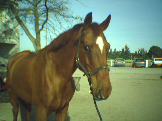 Photo de profil de bousquetguiraud