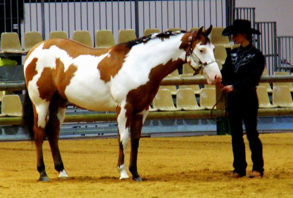 Photo de profil de calamity