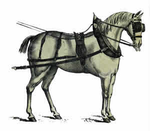 Photo de profil de cheval-brocante