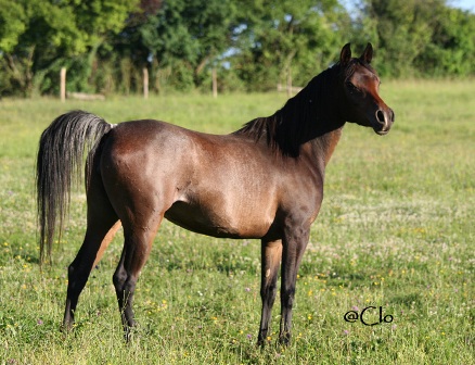 Photo de profil de clothilde
