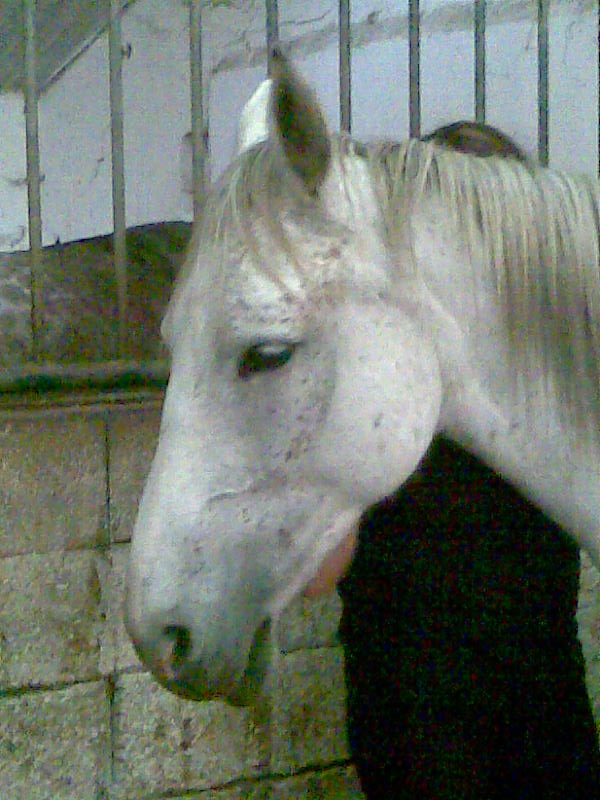 Photo de profil de comette38