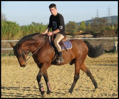 Photo de profil de cso-30