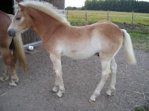 Photo de profil de cycy111