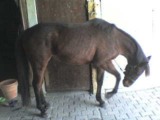 Photo de profil de debo17