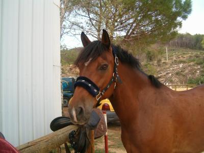 Photo de profil de diidou09