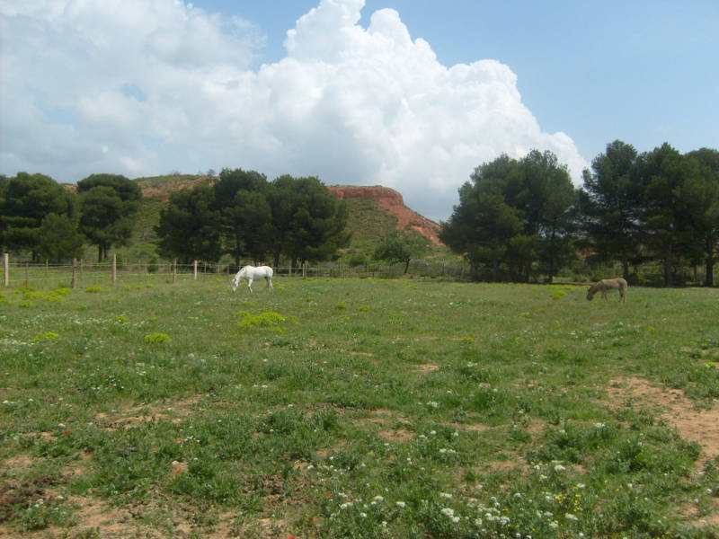 Photo de profil de domainedubayle