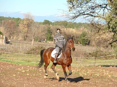 Photo de profil de eclairdemeg