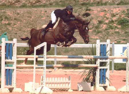 Photo de profil de ecupin