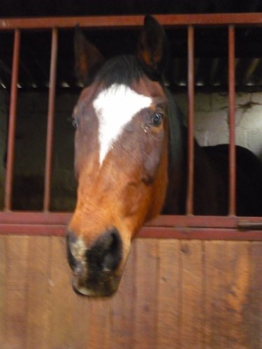Photo de profil de elodie1607