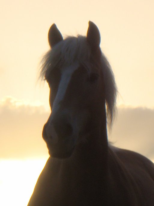 Photo de profil de evadadou-33