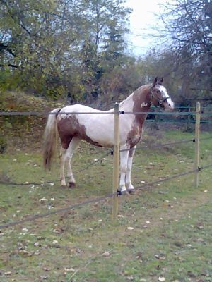 Photo de profil de filitoza38