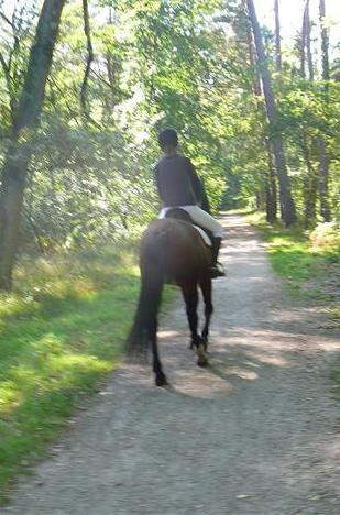 Photo de profil de frisons