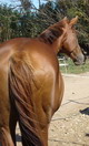 Photo de profil de hell-divine