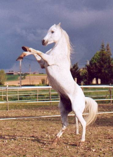 Photo de profil de helly