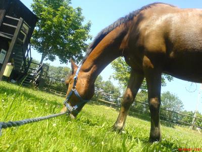 Photo de profil de ilove-easter