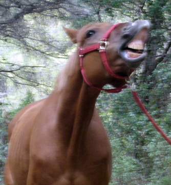 Photo de profil de intcha