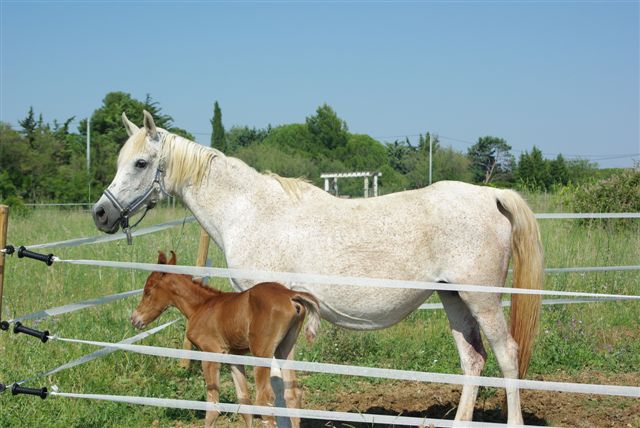 Photo de profil de japyjapy