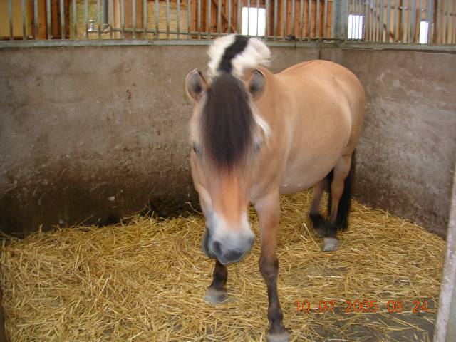 Photo de profil de jojolaboulette