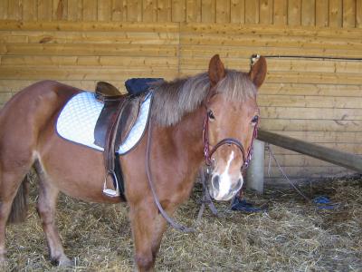 Photo de profil de jolie81