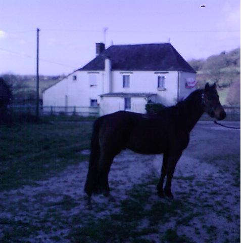 Photo de profil de juju700