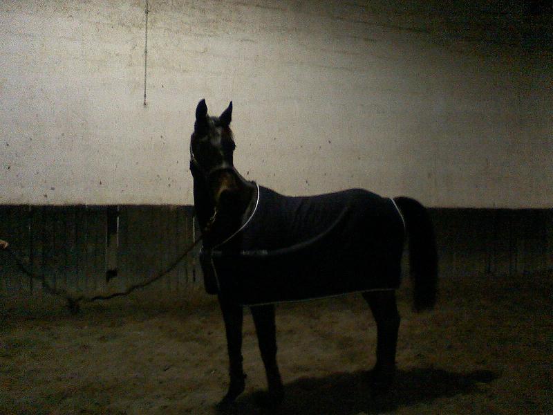 Photo de profil de julie60